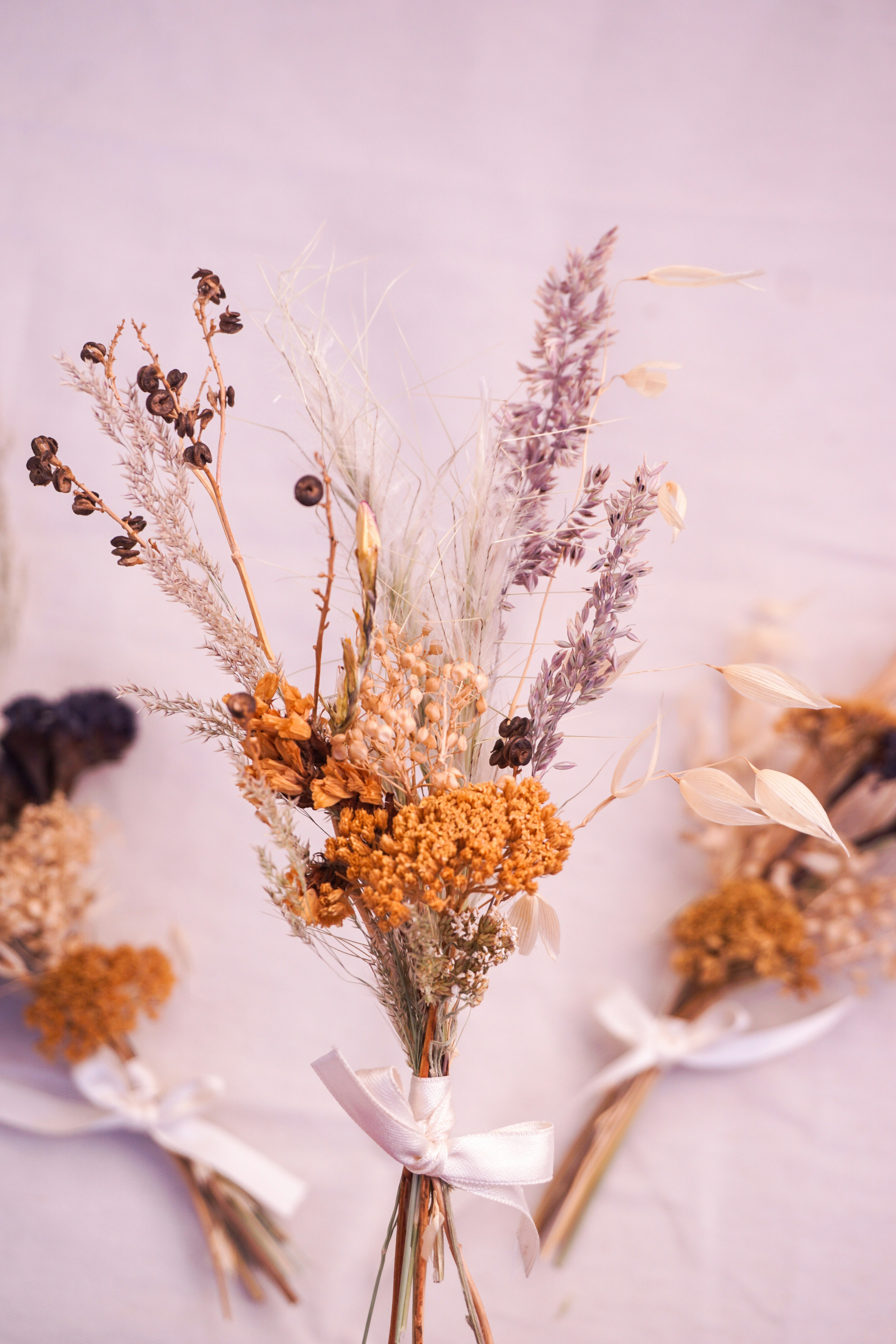 Photo by camilaespasandin