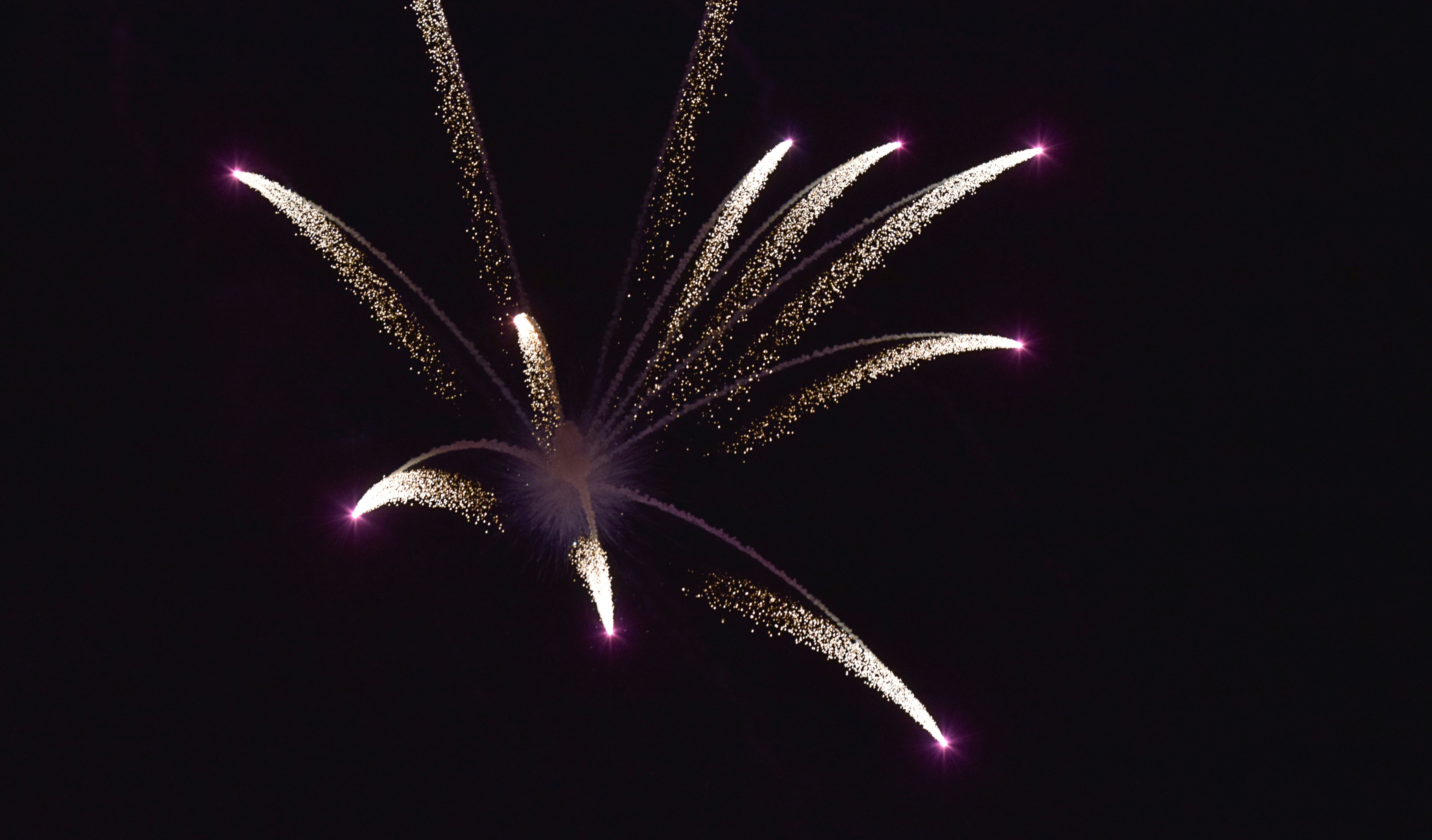 Pi-hole：打造你自己的网络广告屏蔽器