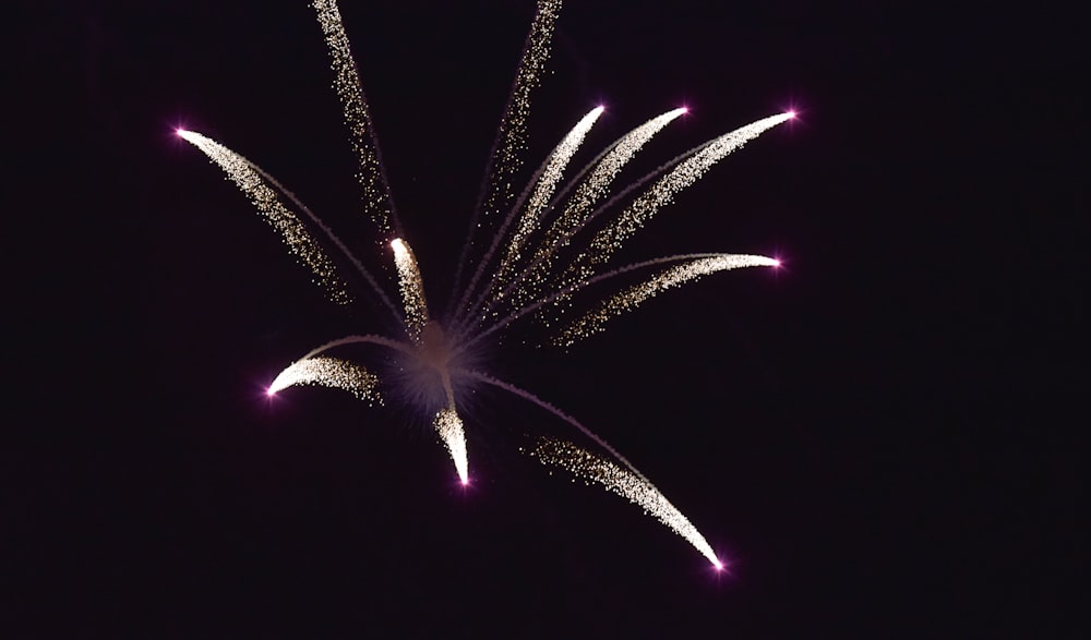 white fireworks display during nighttime