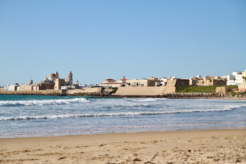 people on beach during daytime