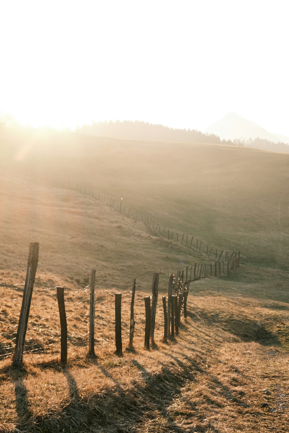 brown wooden fence on brown grass field during foggy day