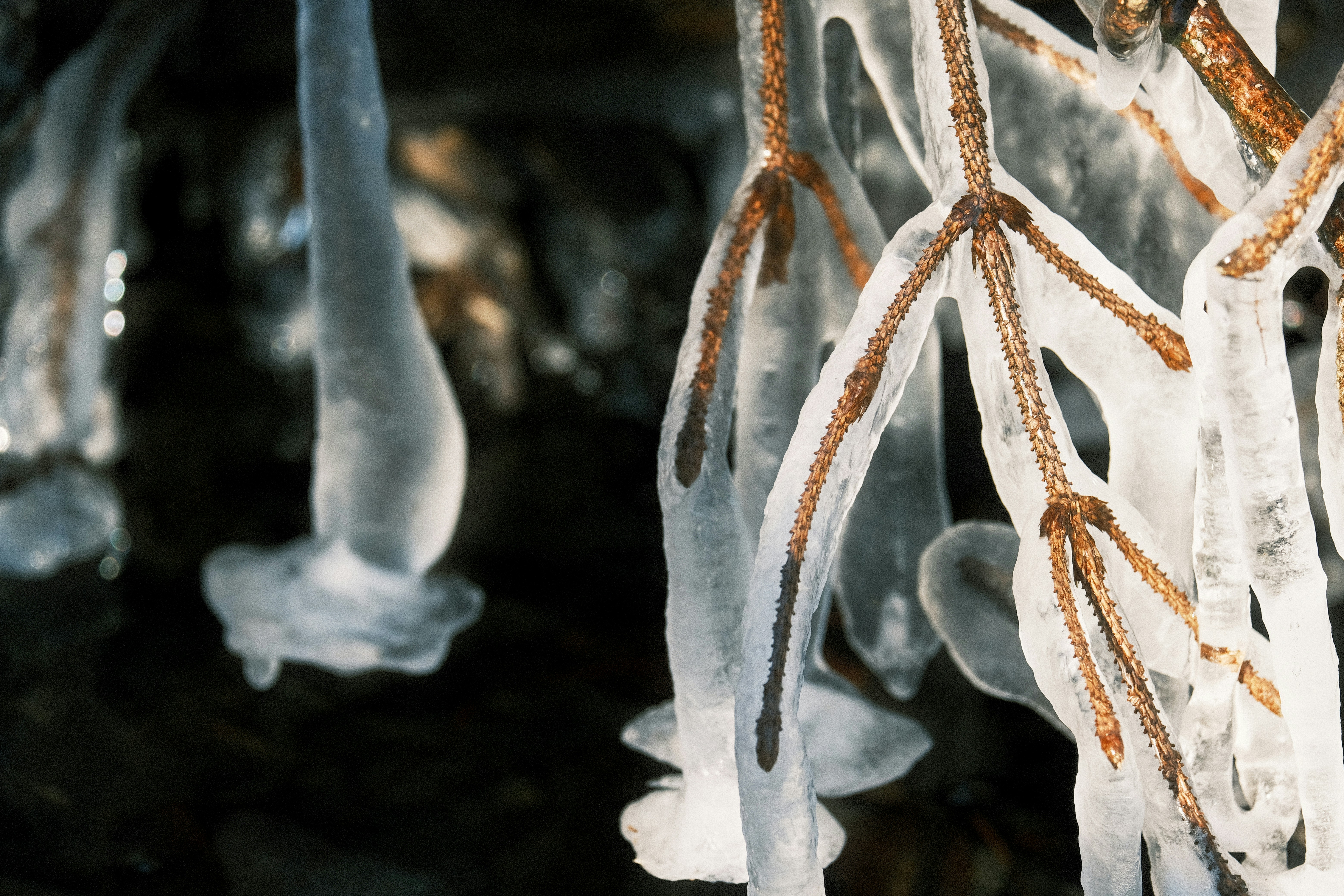 Guirnalda de luces blancas en el agua