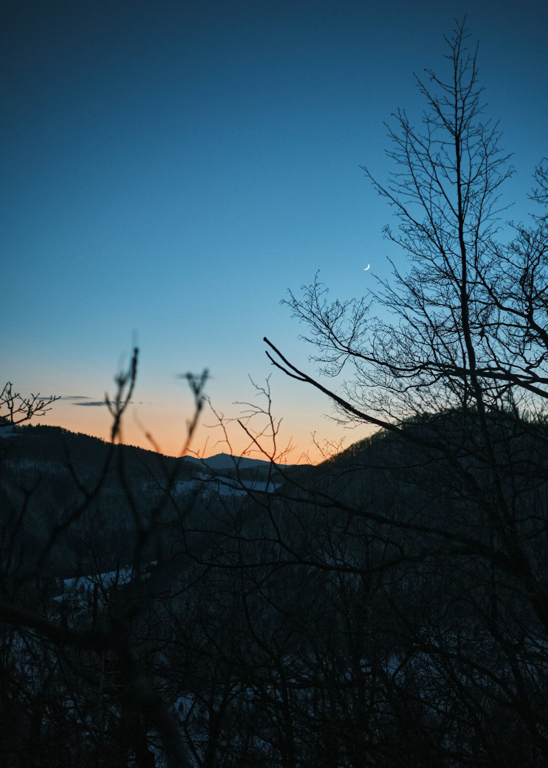 Ecoregion photo spot KoteÄ�nik Ljubljana