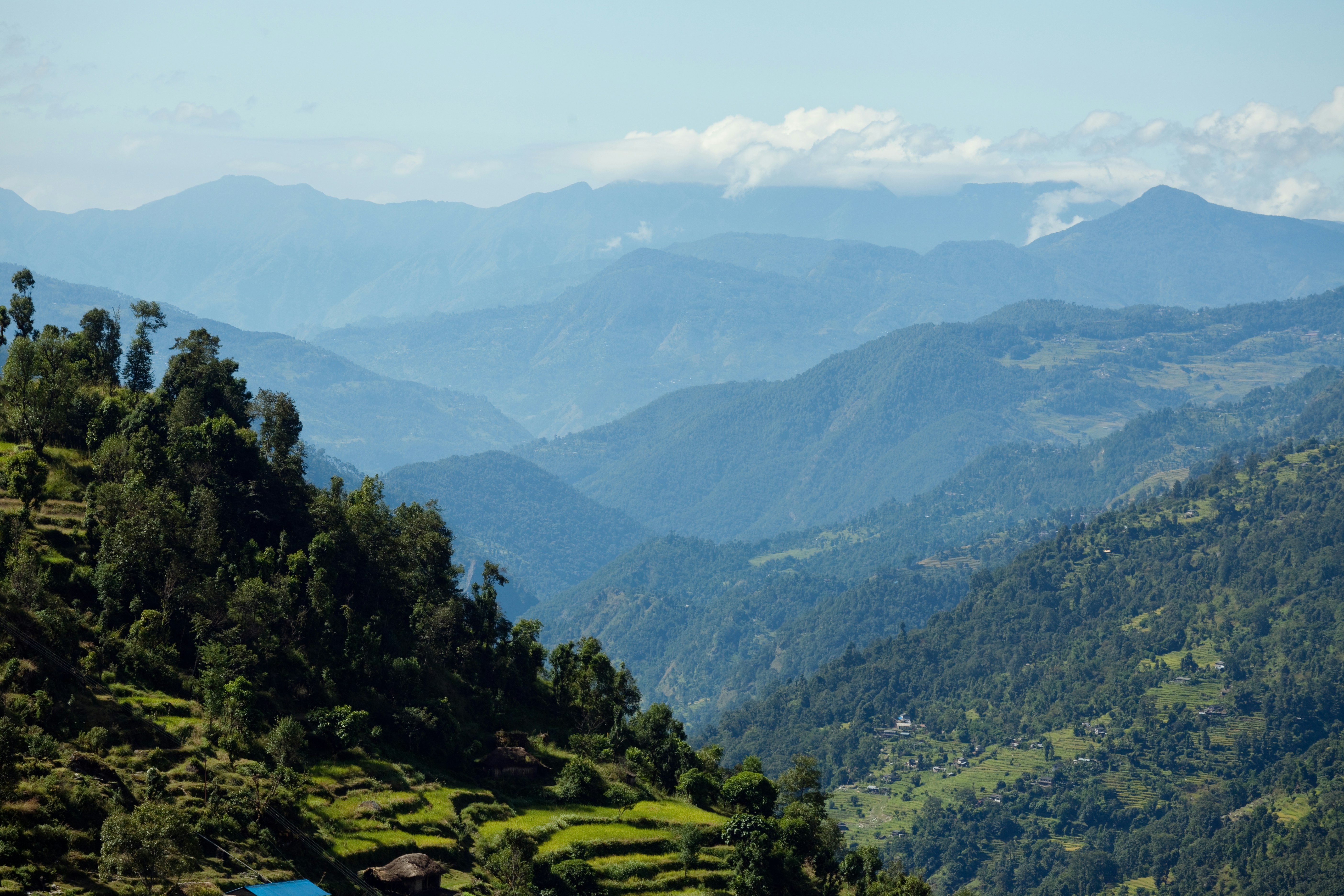 Photo by raimondklavins