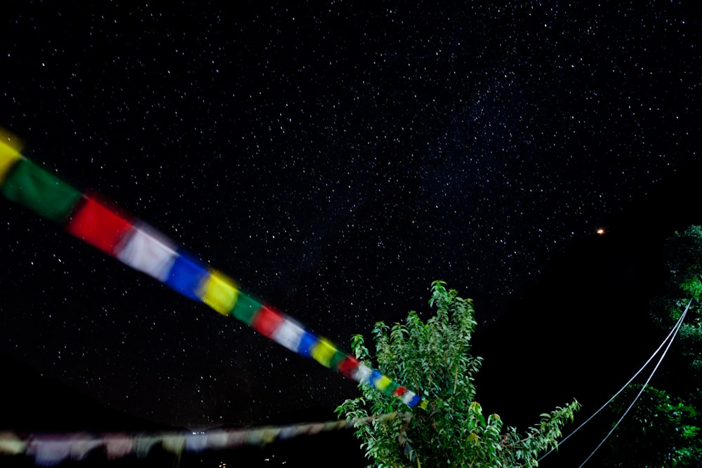 green pine tree during night time