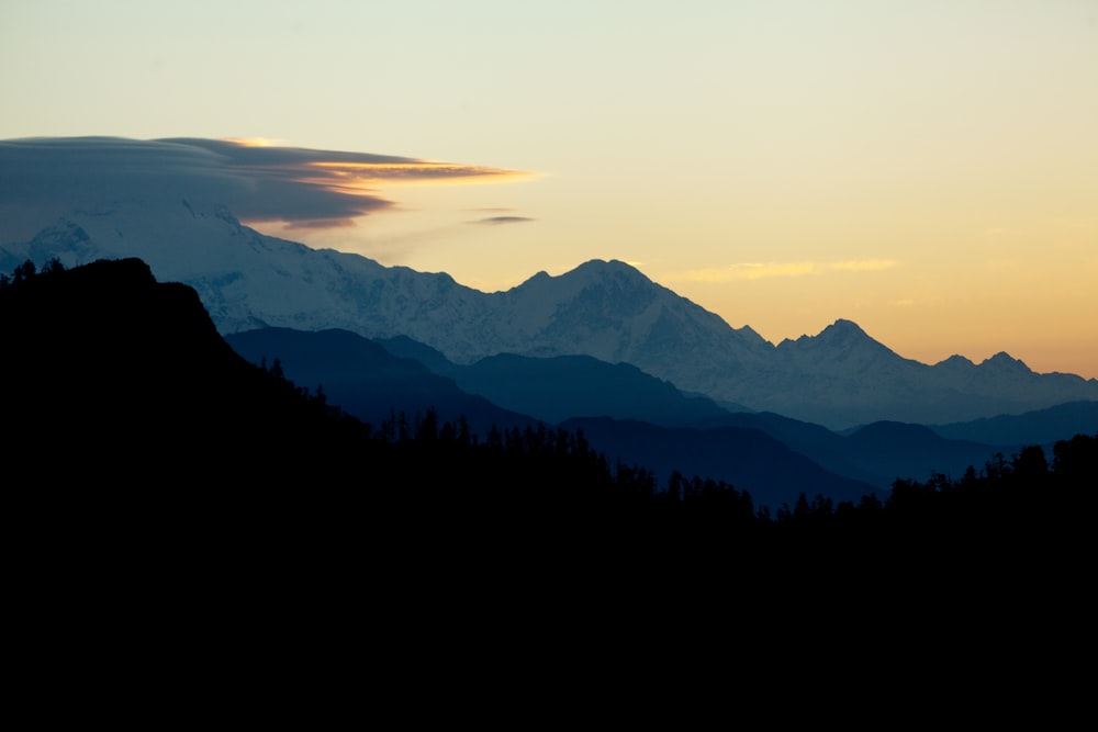silhouette of trees and mountains during daytime
