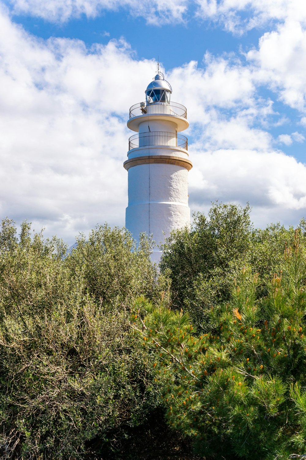 Phare blanc et brun entouré de plantes vertes sous des nuages blancs et un ciel bleu pendant la journée