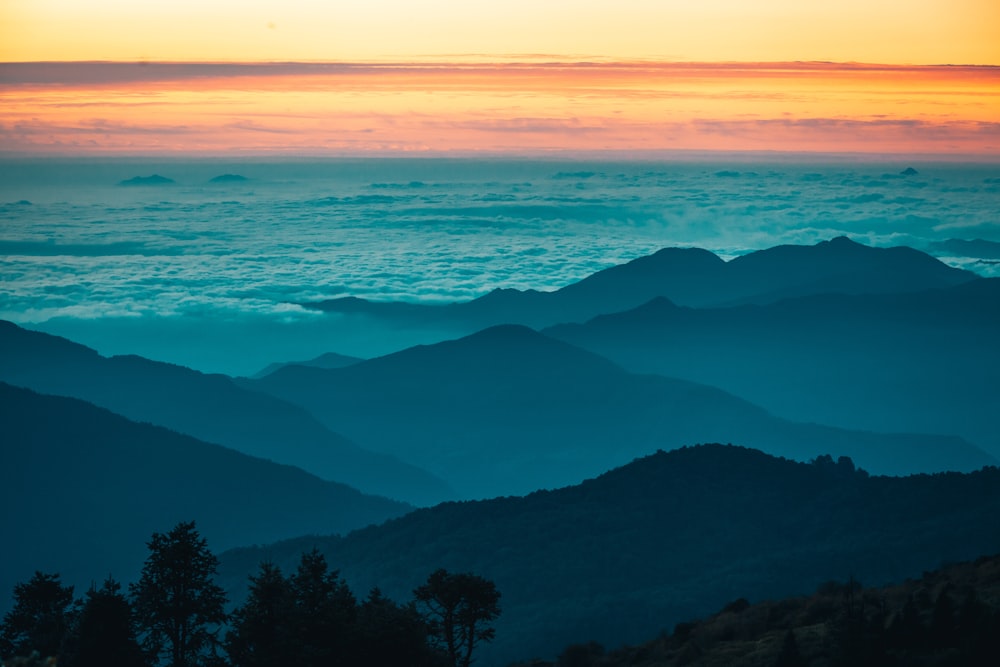 silhueta de árvores e montanhas durante o pôr do sol