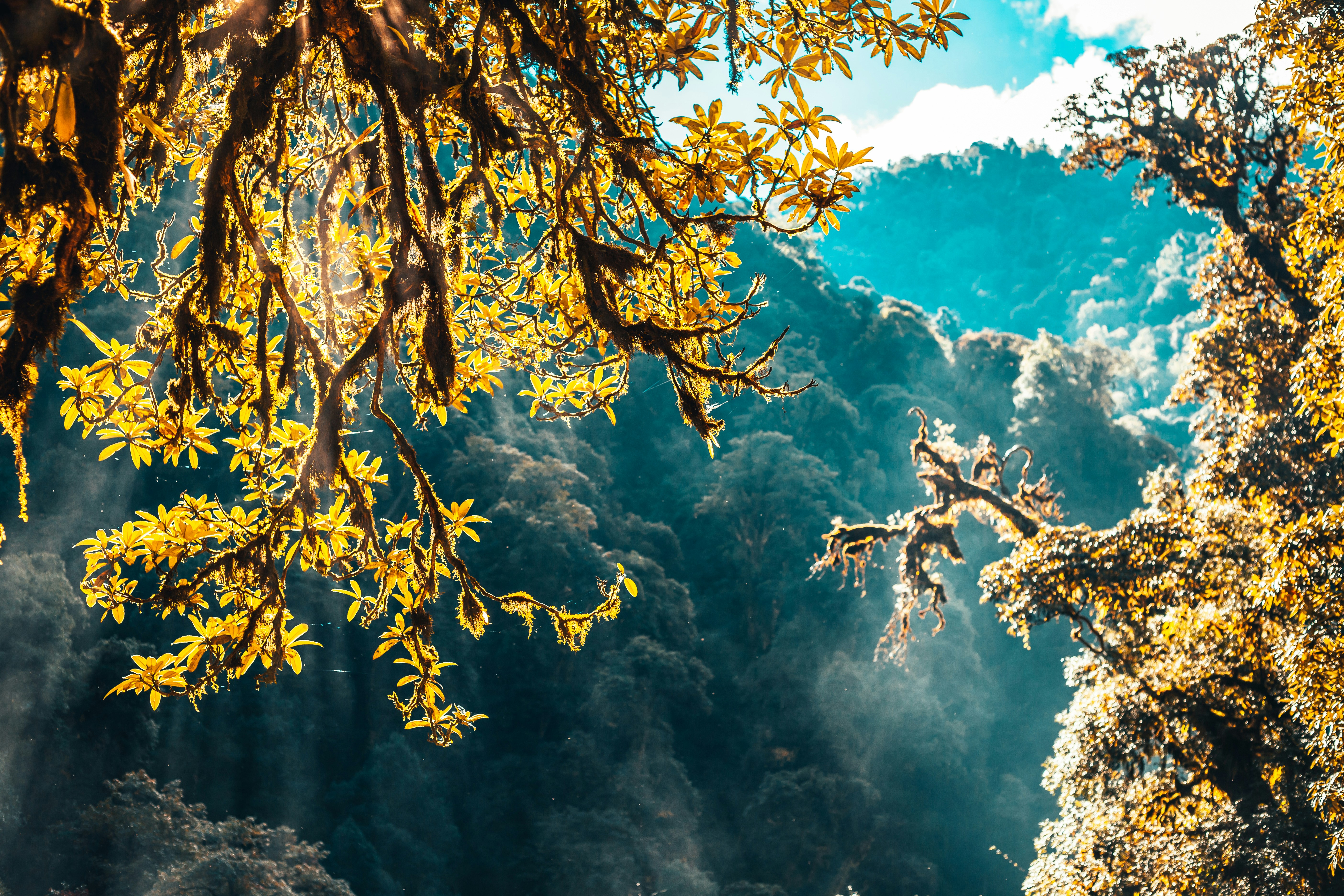 Photo by raimondklavins