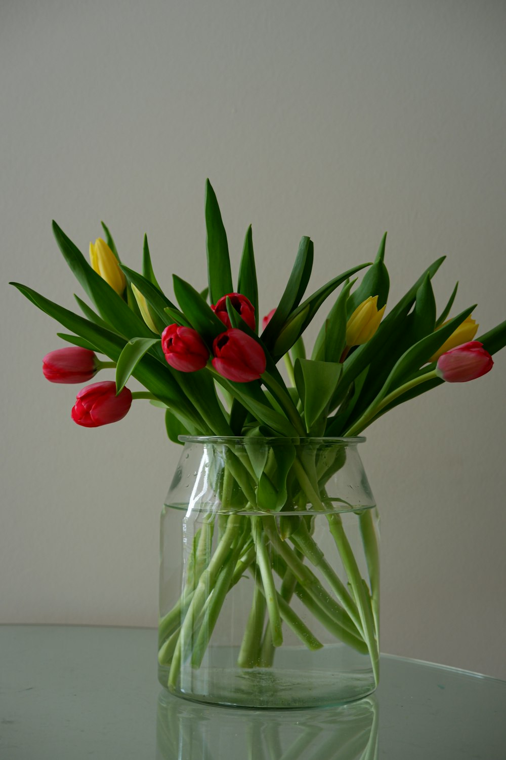 red tulips in clear glass vase