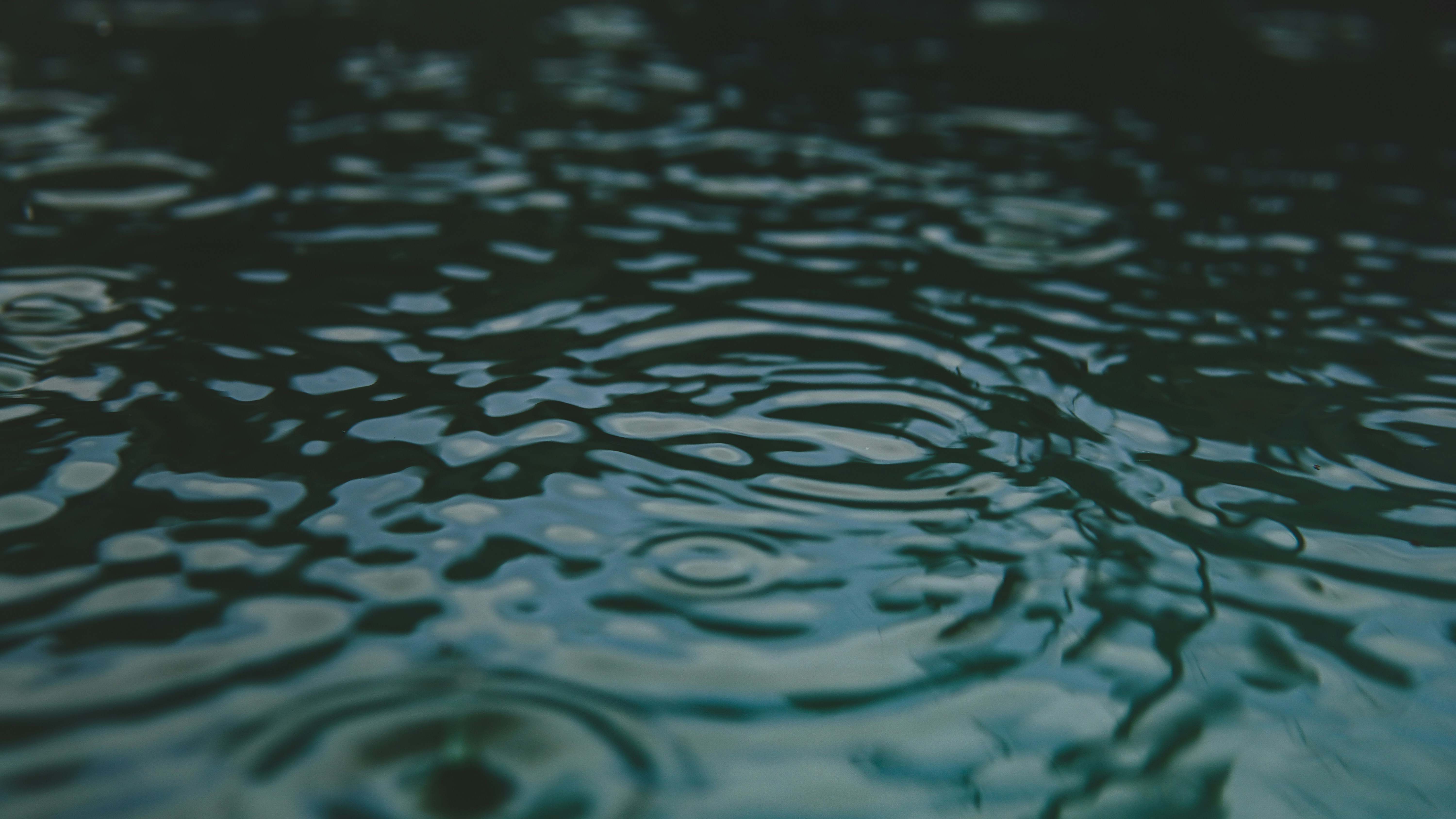 Photo by kindandcurious