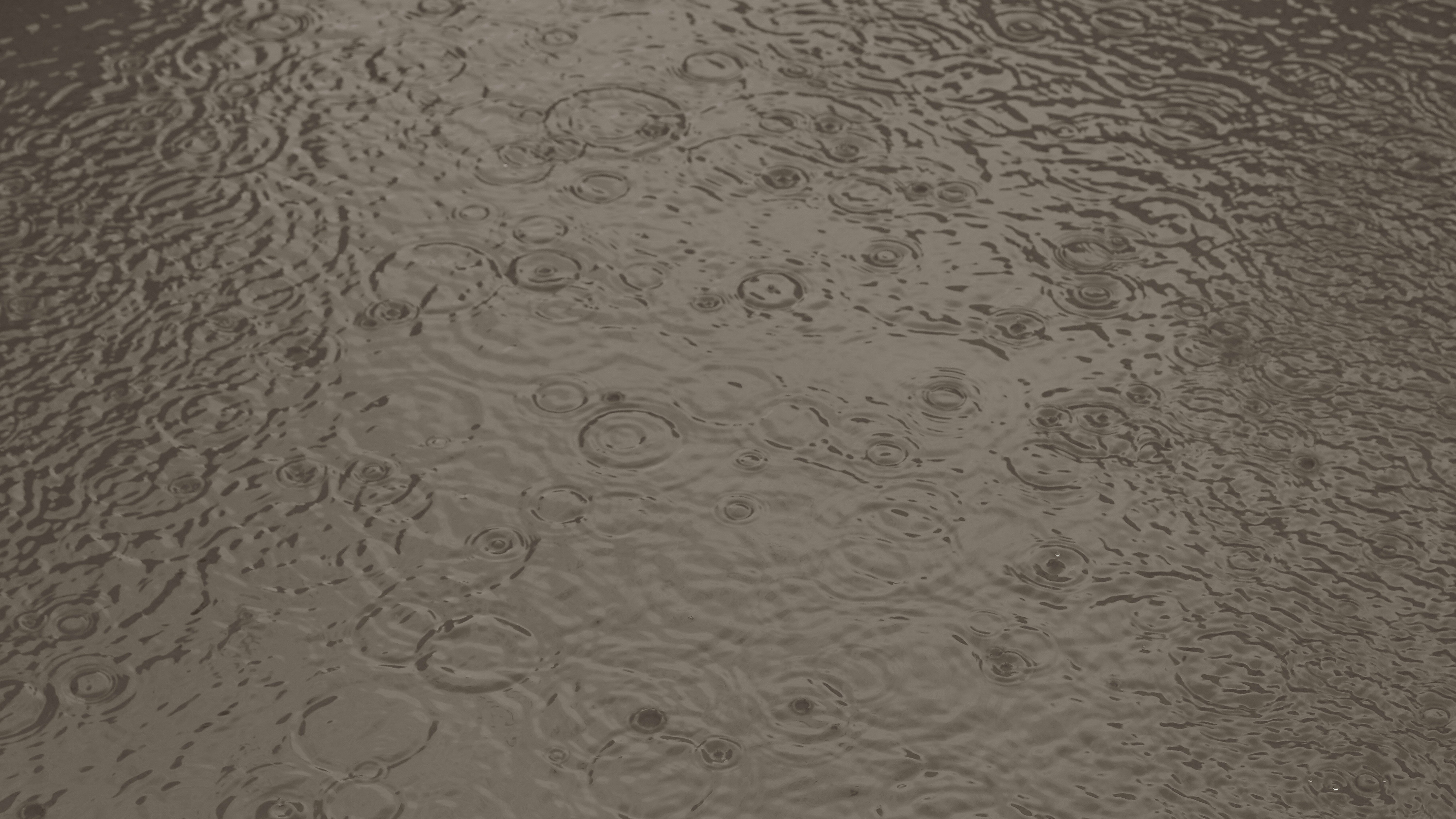 Photo by kindandcurious