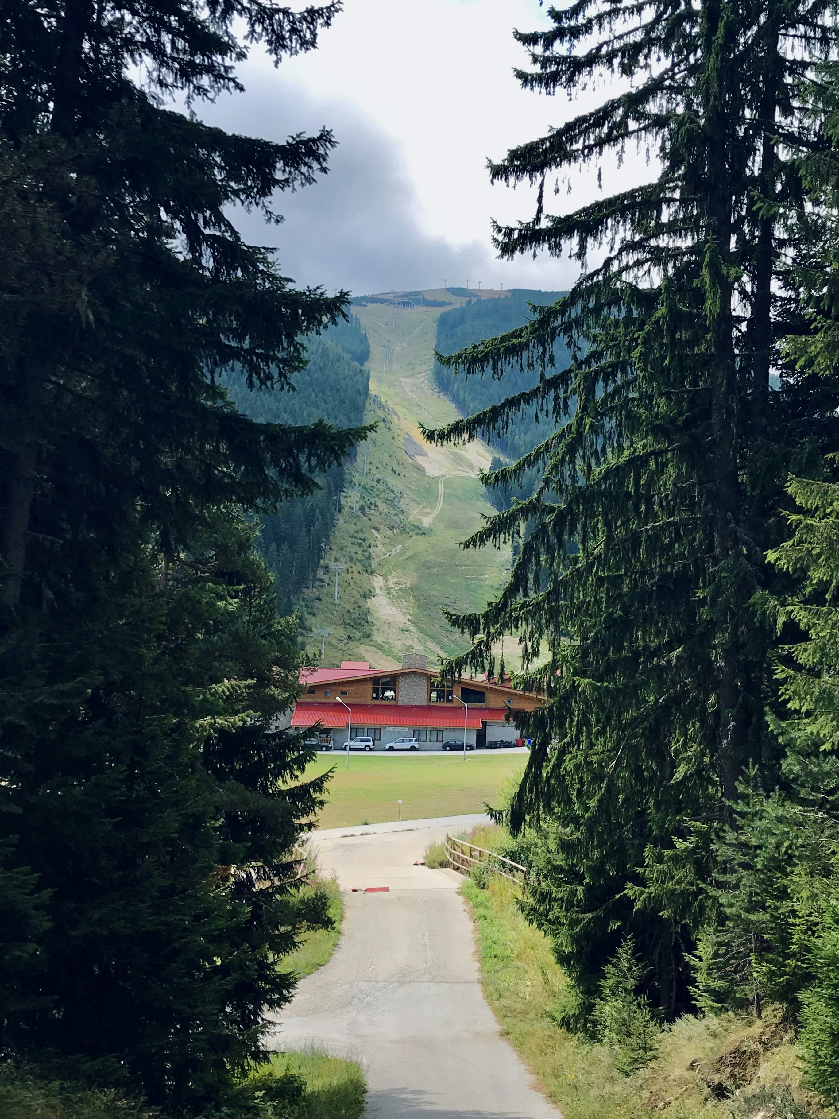 green trees near mountain during daytime