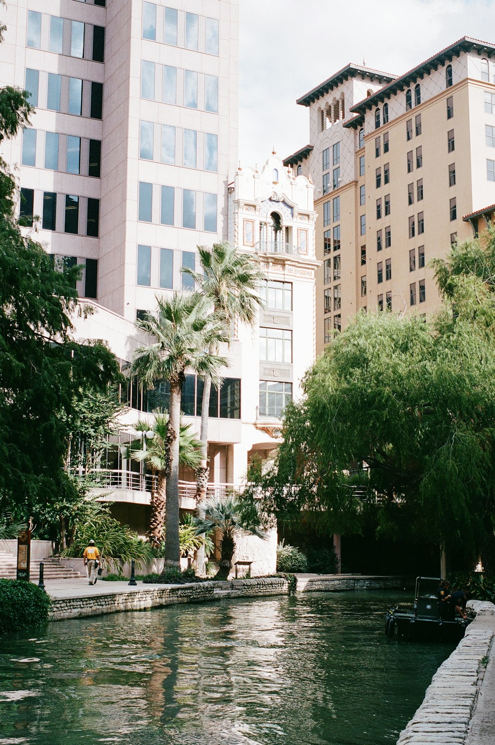 green trees near white concrete building during daytime