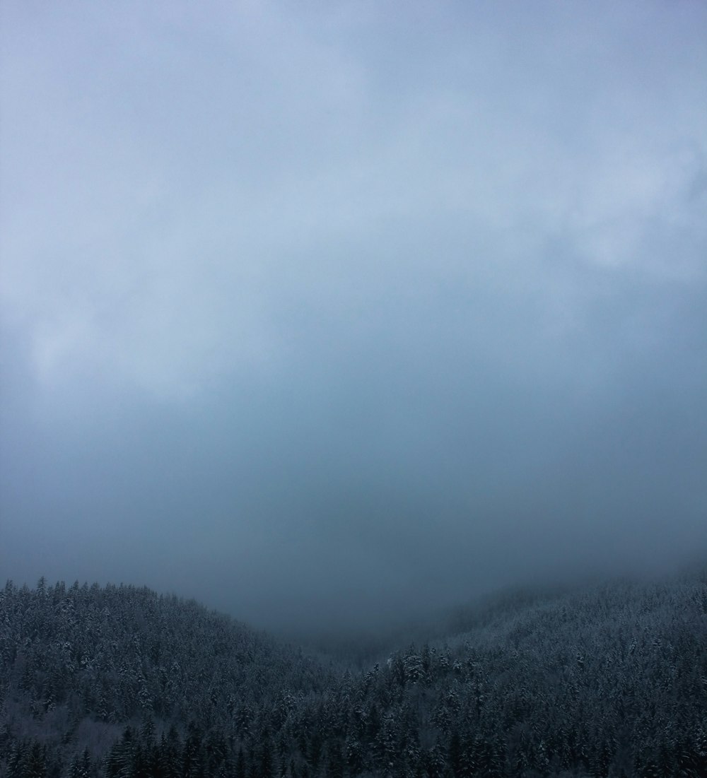 흰 구름 아래 산에 푸른 나무