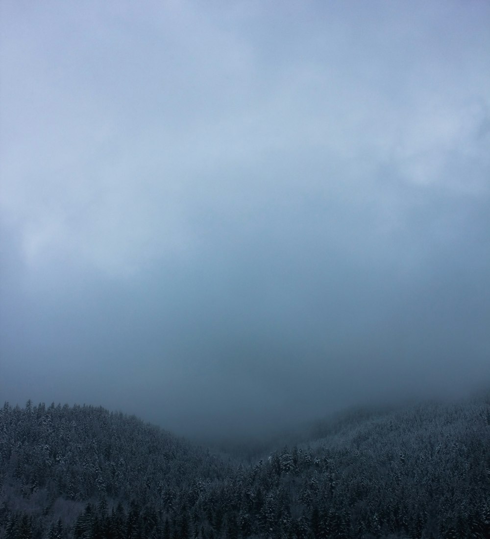 green trees on mountain under white clouds