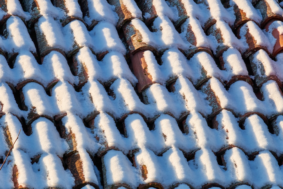 black and white roof tiles