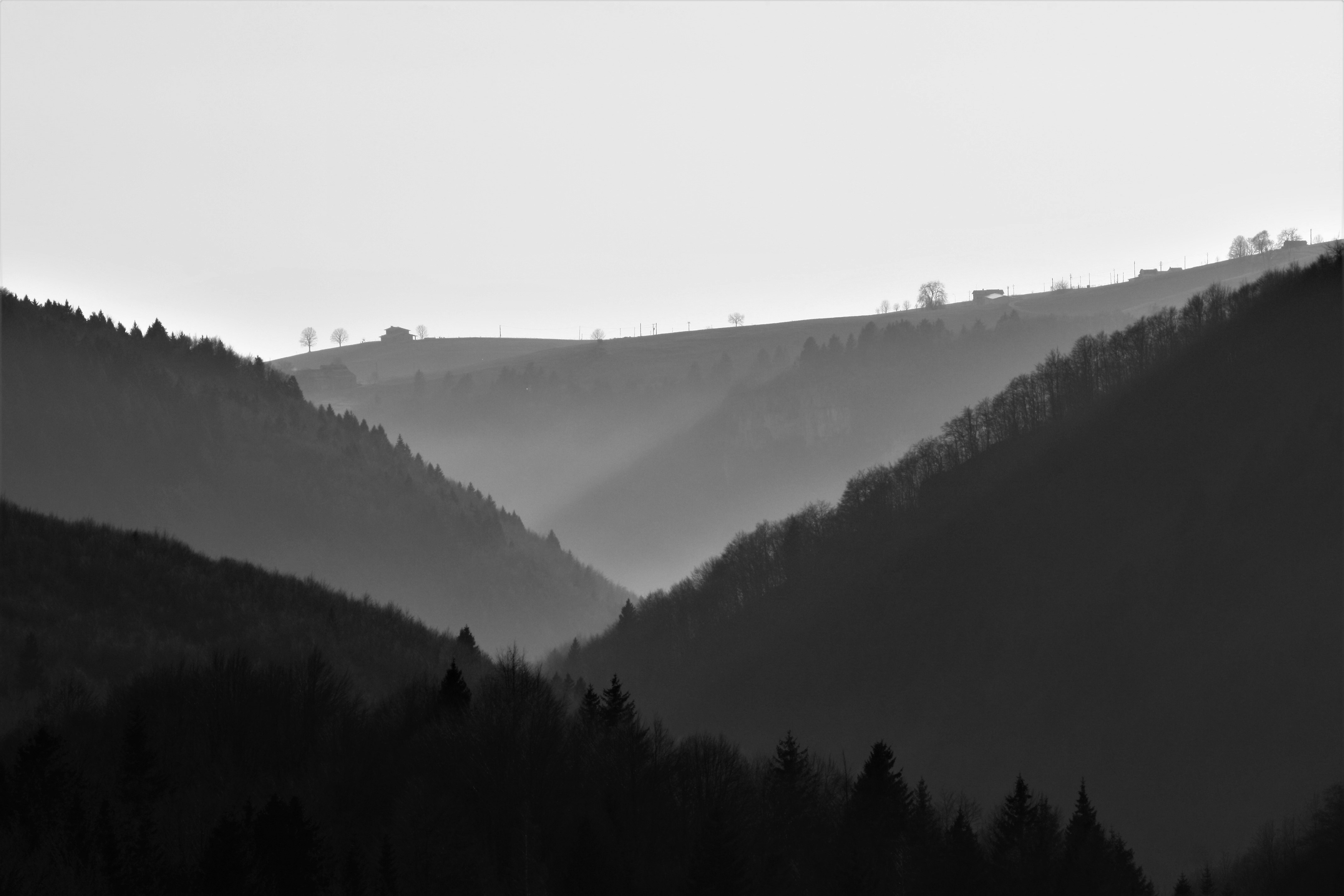 Photo by alessandroventuri