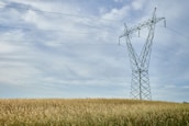 A large metal electricity transmission tower stands in an expansive field of tall grasses. Overhead, electrical power lines stretch across the sky, which is mostly clear with a few scattered clouds.