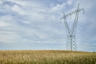 A large metal electricity transmission tower stands in an expansive field of tall grasses. Overhead, electrical power lines stretch across the sky, which is mostly clear with a few scattered clouds.