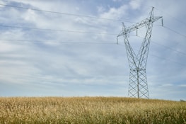 A large metal electricity transmission tower stands in an expansive field of tall grasses. Overhead, electrical power lines stretch across the sky, which is mostly clear with a few scattered clouds.