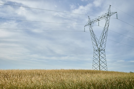 A large metal electricity transmission tower stands in an expansive field of tall grasses. Overhead, electrical power lines stretch across the sky, which is mostly clear with a few scattered clouds.