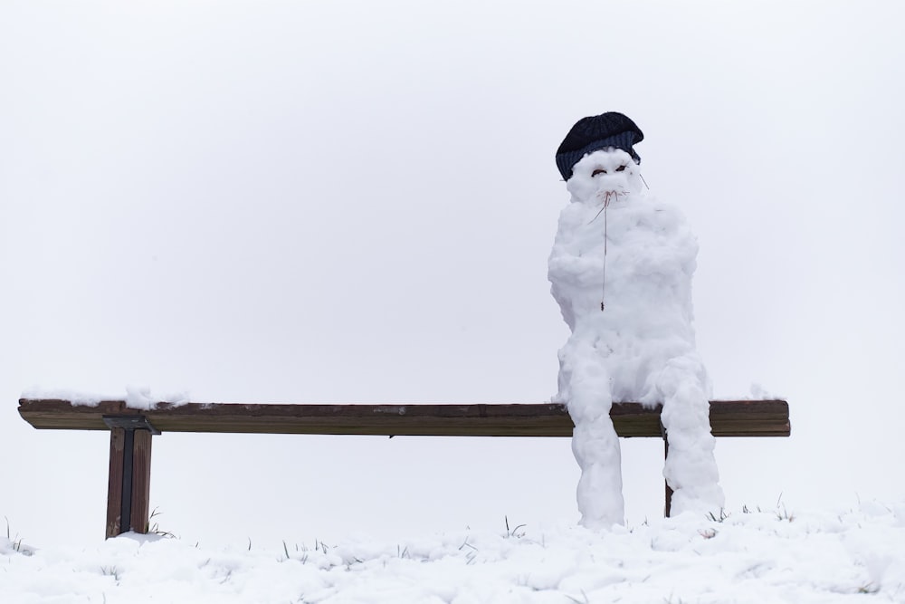 snowman on brown wooden fence during daytime