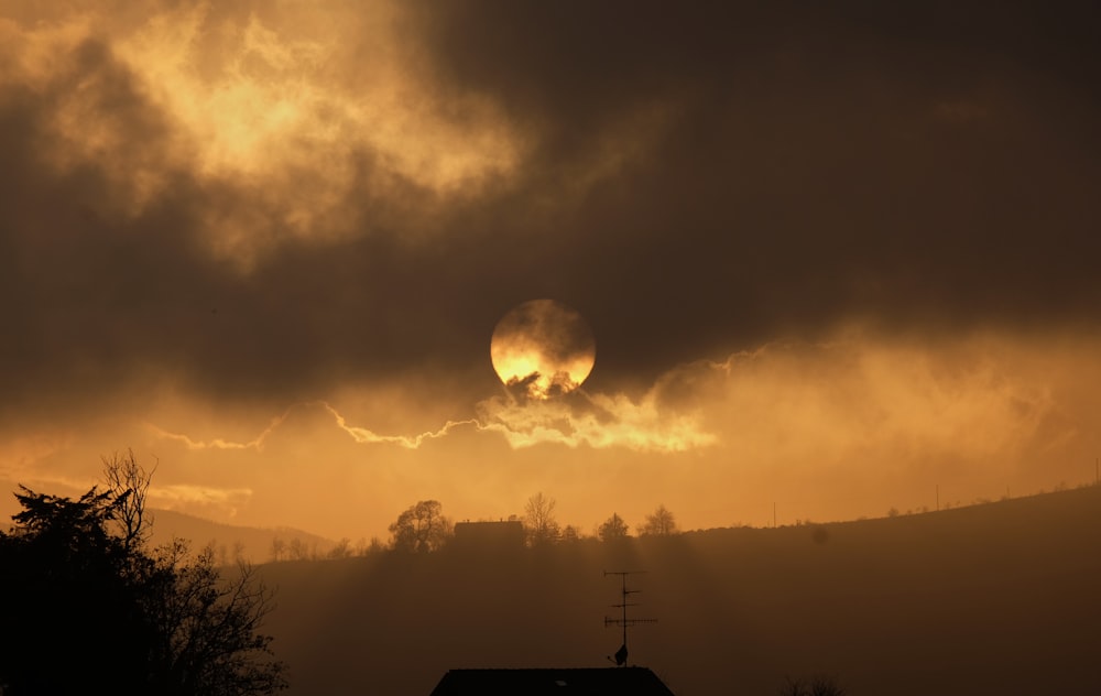 silhouette of trees under white clouds during night time