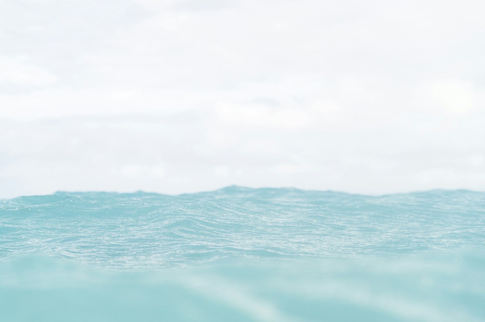 green body of water under white sky during daytime