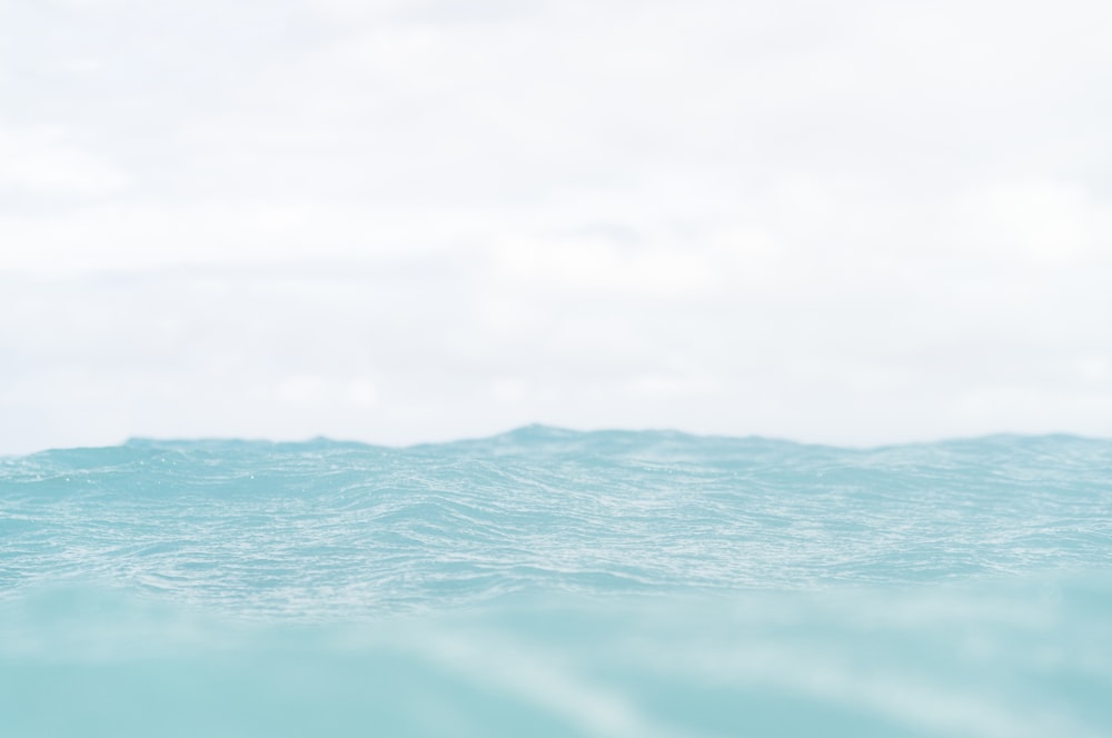 green body of water under white sky during daytime