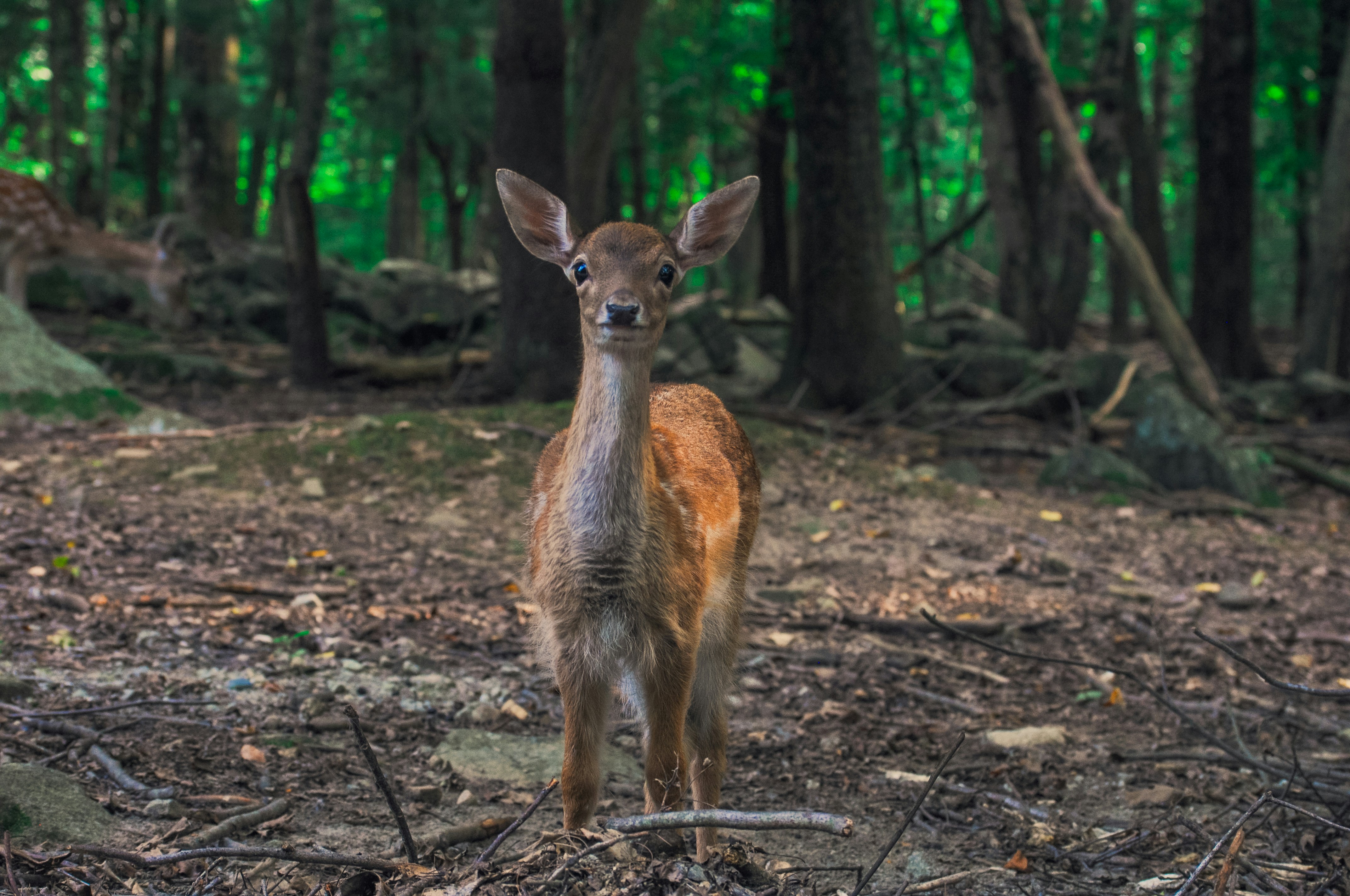 Photo by westofbostonphotography