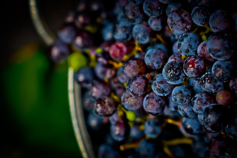 purple grapes in black round container