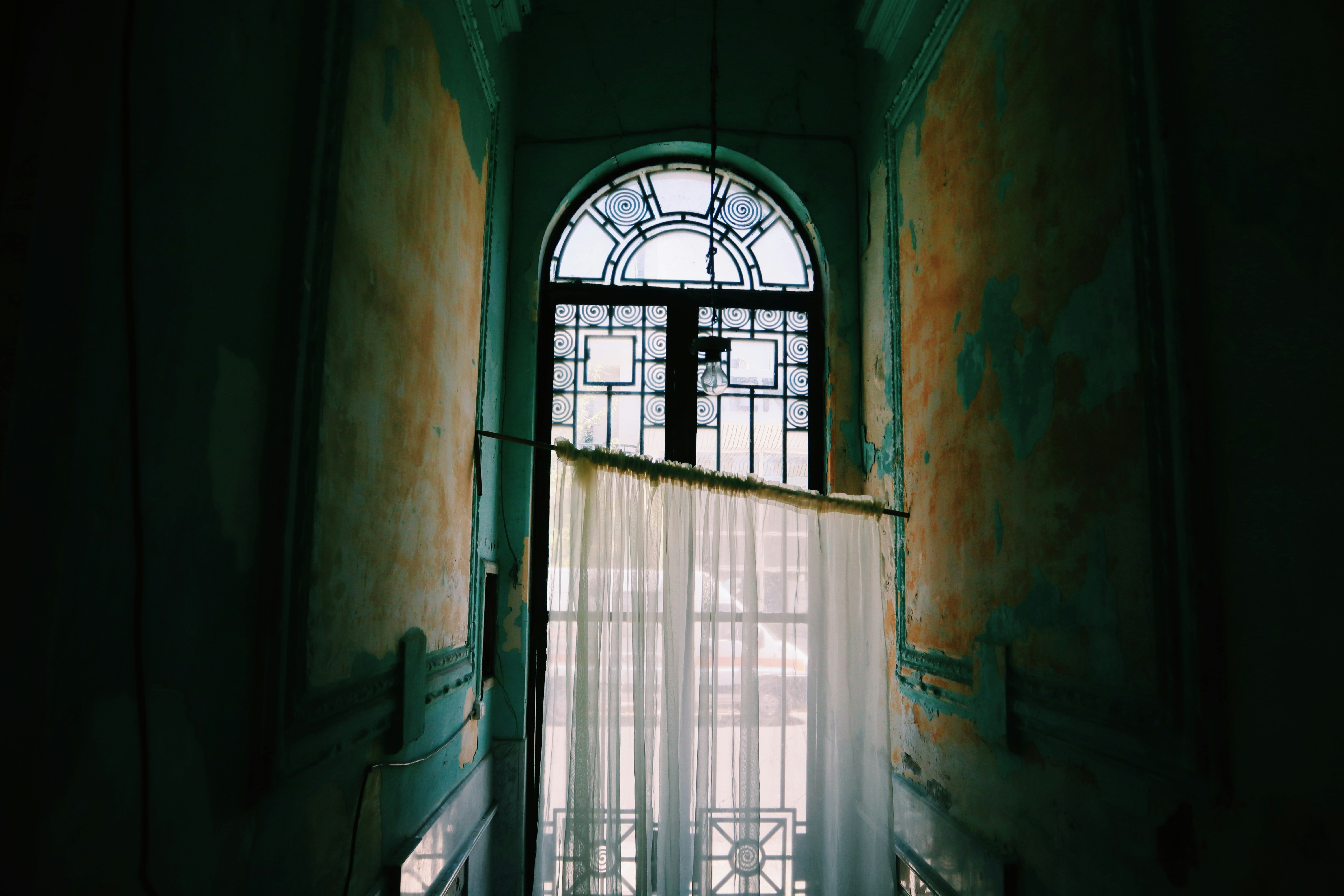 white window curtain on window