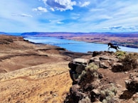 A scenic view of a horse jumping over a fence.