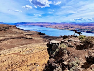 A scenic view of a horse jumping over a fence.