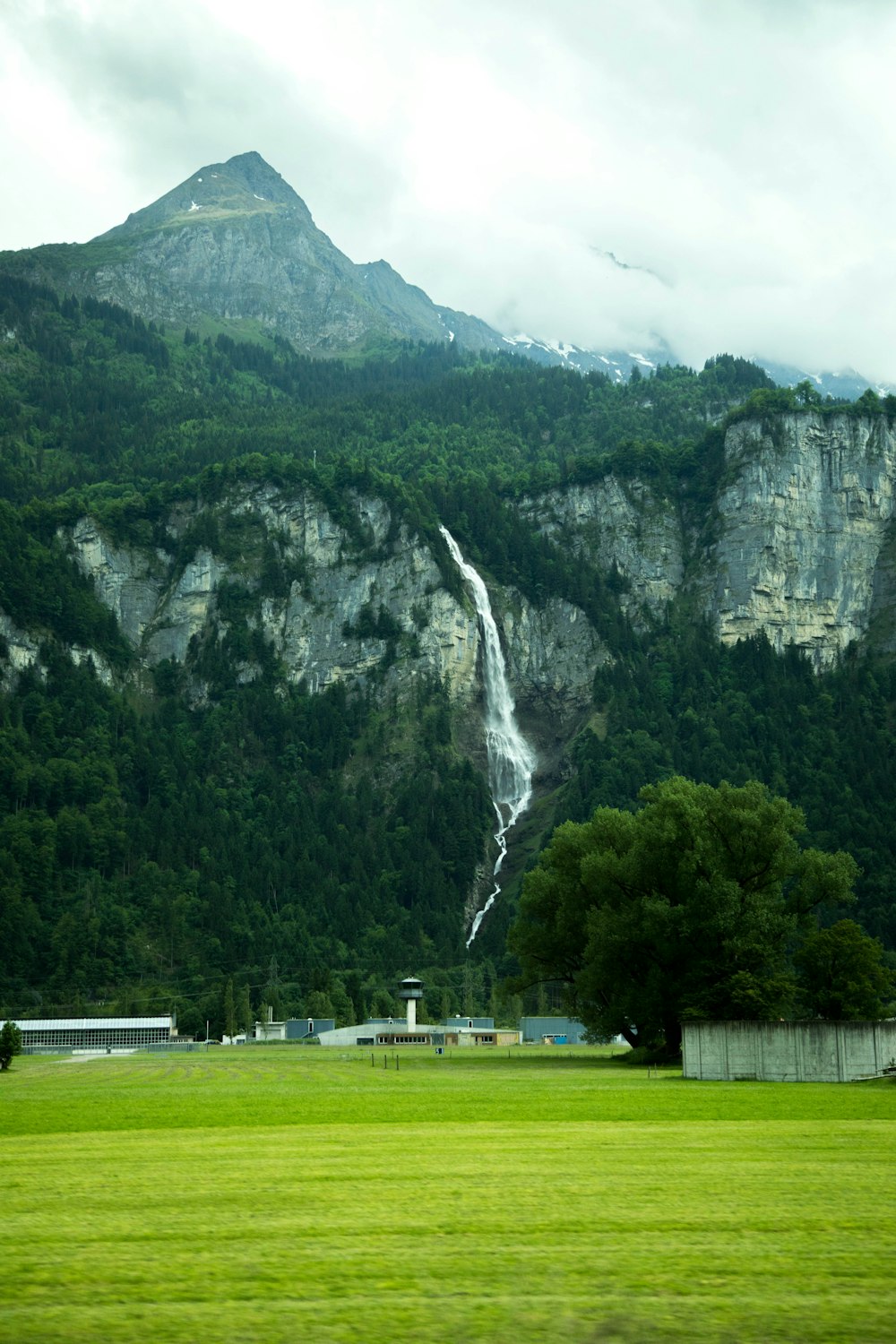 green trees near mountain during daytime