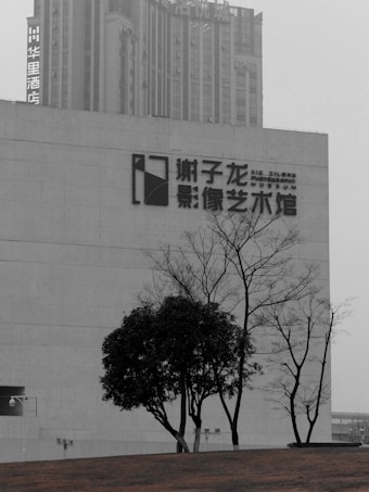 A large modern building with signage in both Chinese and English, possibly a photography museum, stands against a city backdrop. In the foreground, a small, leafless tree and a bush accentuate the minimalist and urban aesthetic.