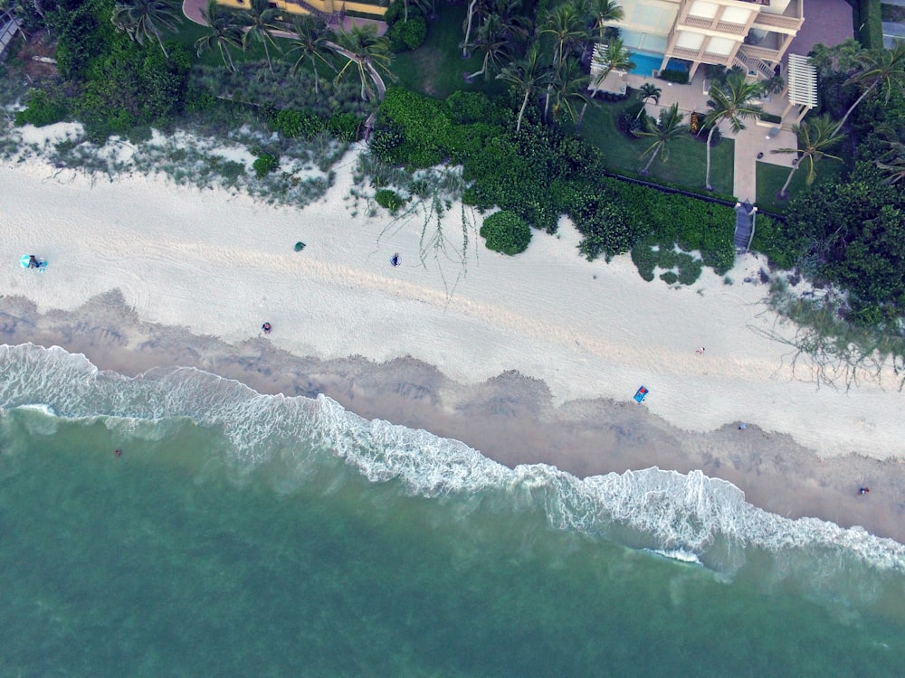 aerial view of beach during daytime