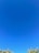 A vast expanse of clear blue sky with minimal cloud presence, above a line of green tree tops at the bottom of the image.