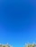 A vast expanse of clear blue sky with minimal cloud presence, above a line of green tree tops at the bottom of the image.
