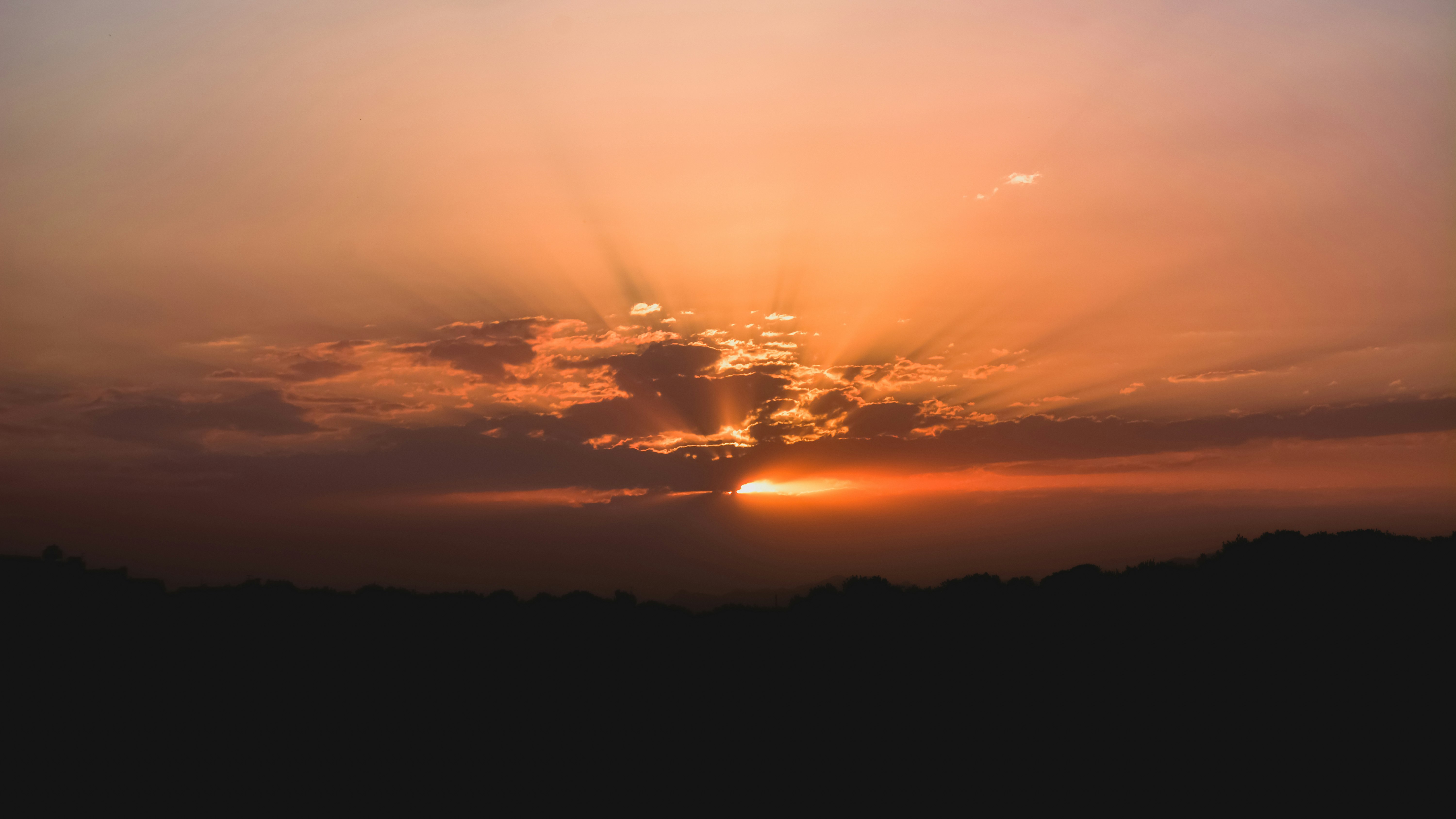 silhouette of trees during sunset