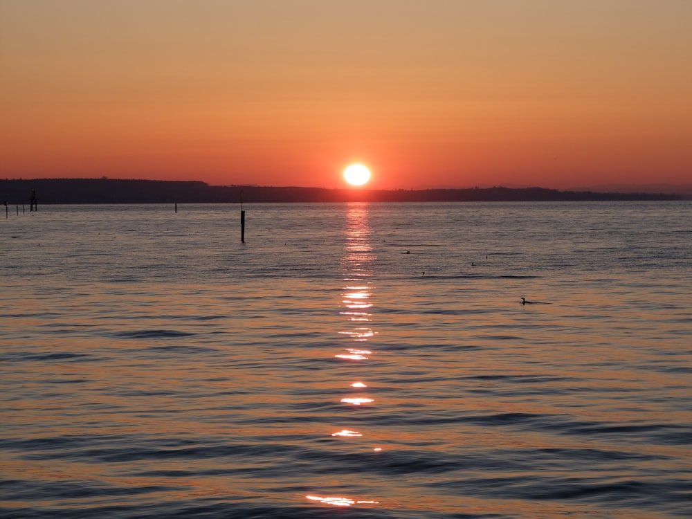 silhouette of person on sea during sunset