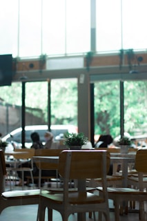 The spacious yet cozy interior of Terrassen Cafe with olive green accents and plants filling the space