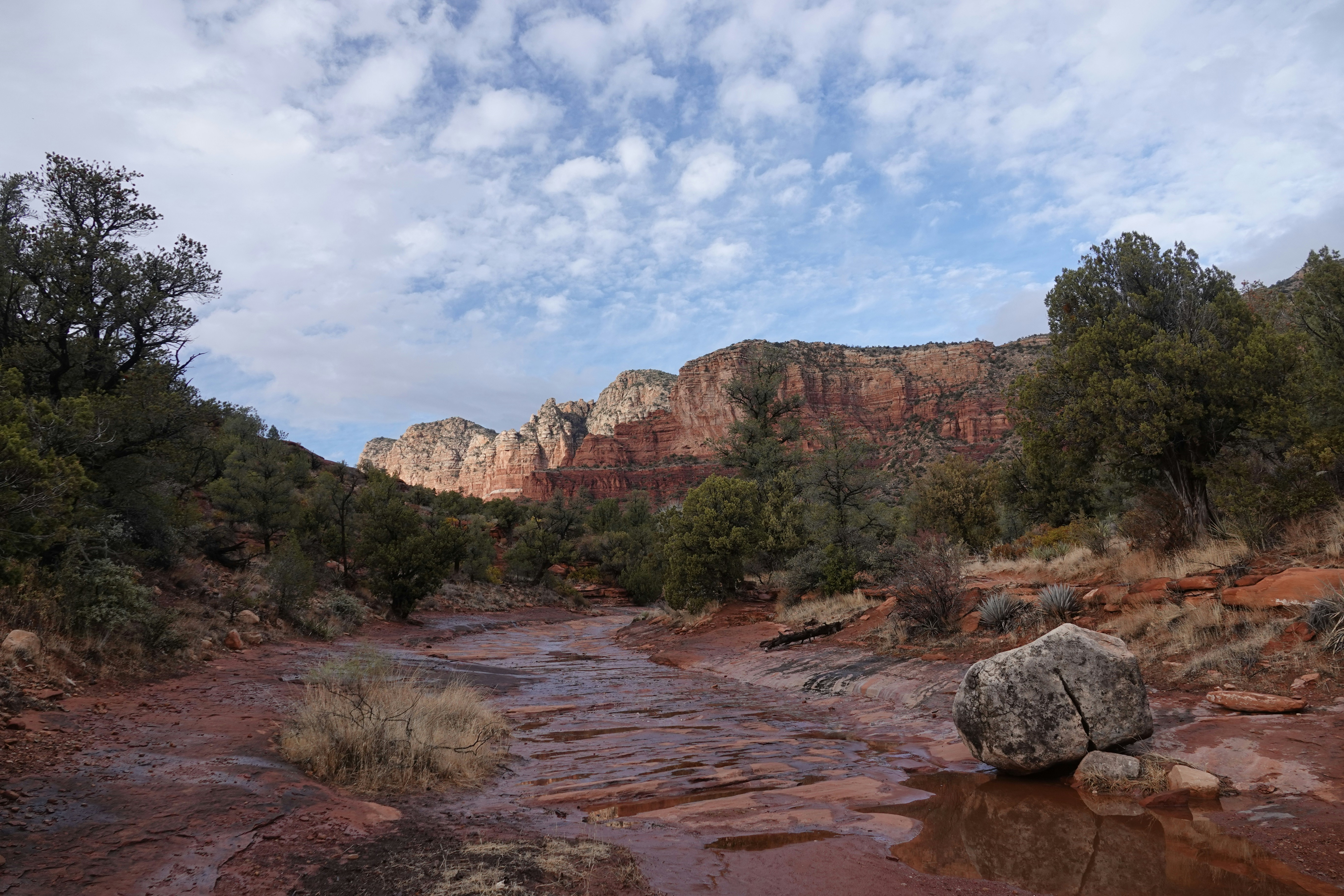 Photo by prolandscapes