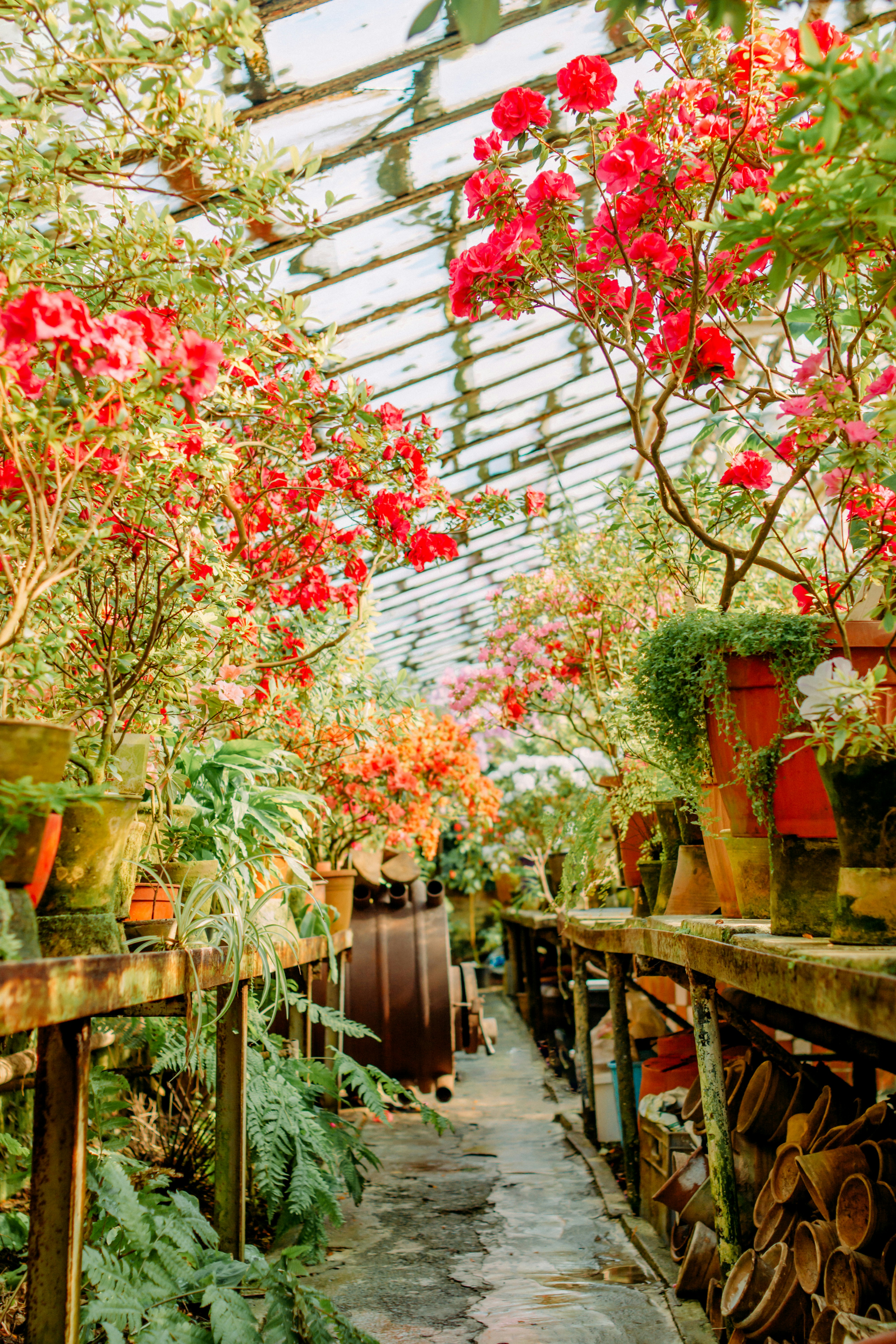 Photo by eugenivy_now