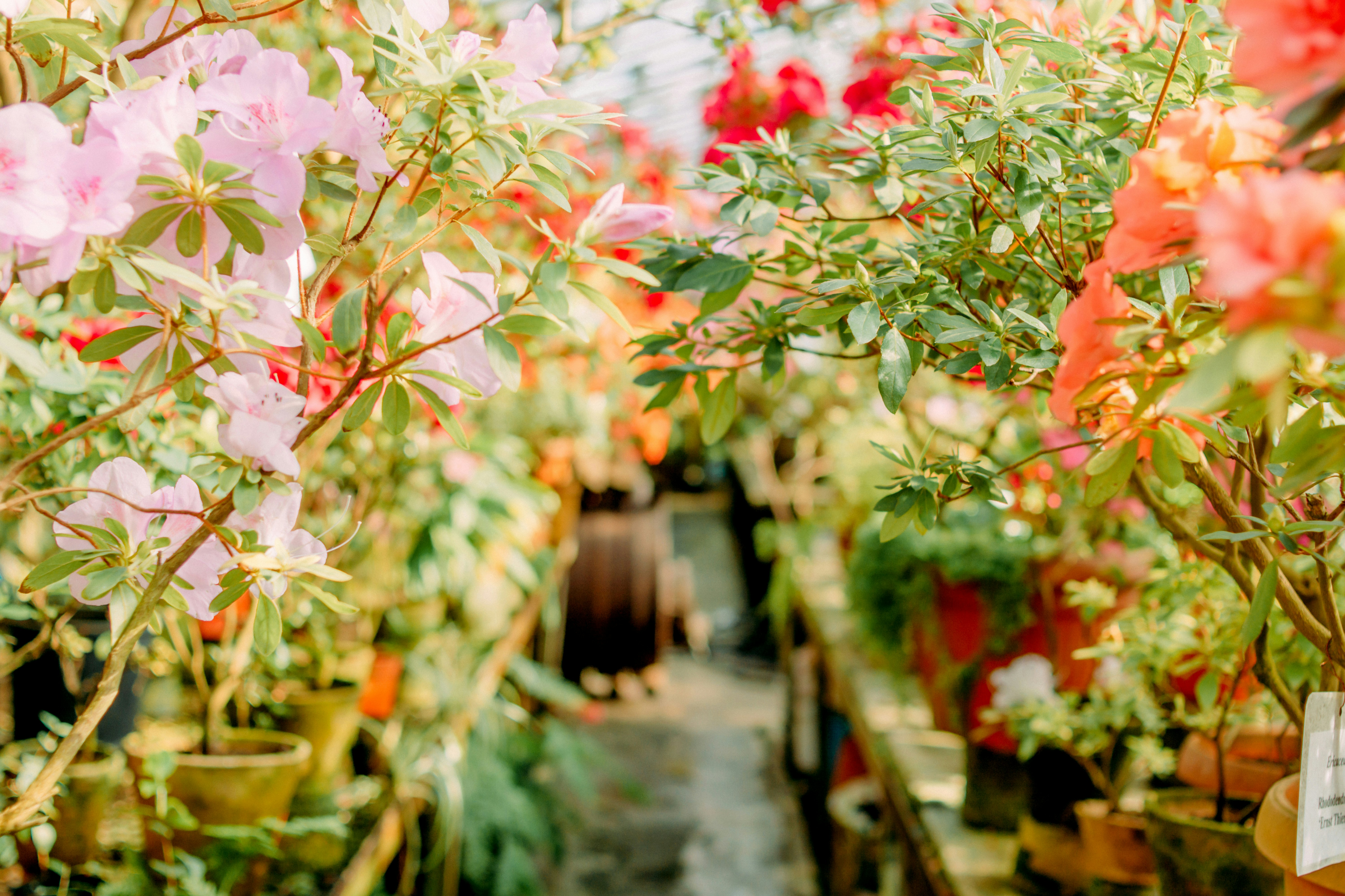 Photo by eugenivy_now