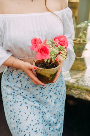 pink and white flower in blue ceramic pot