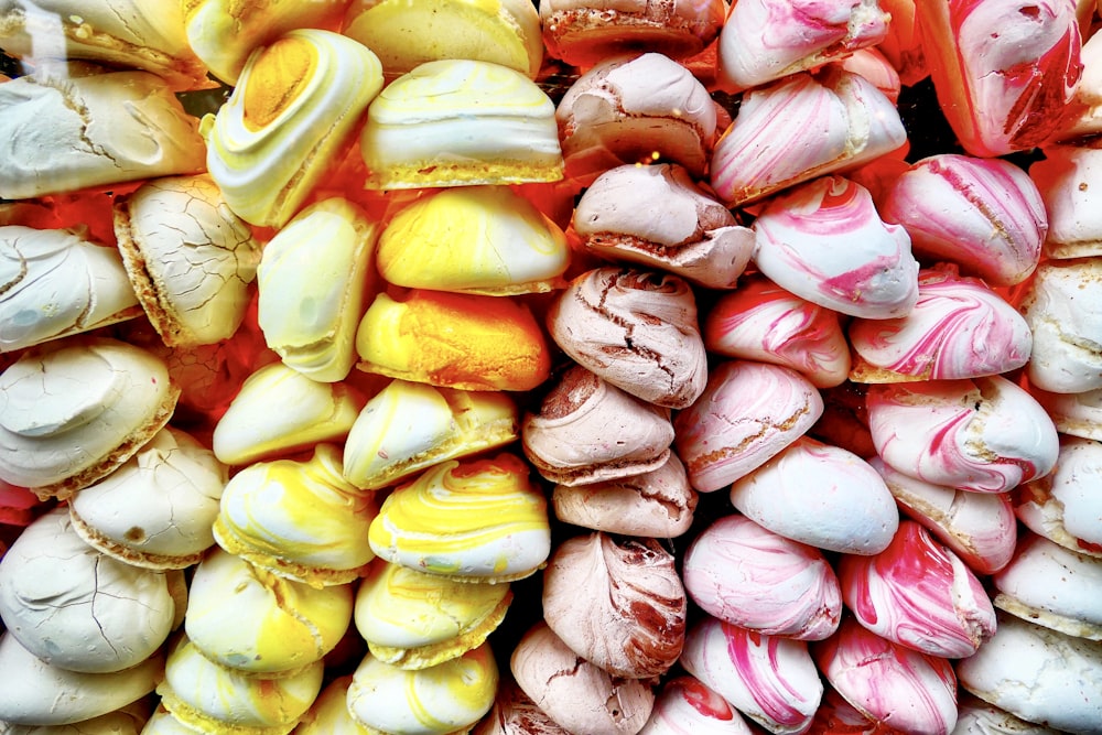 brown and white sea shells