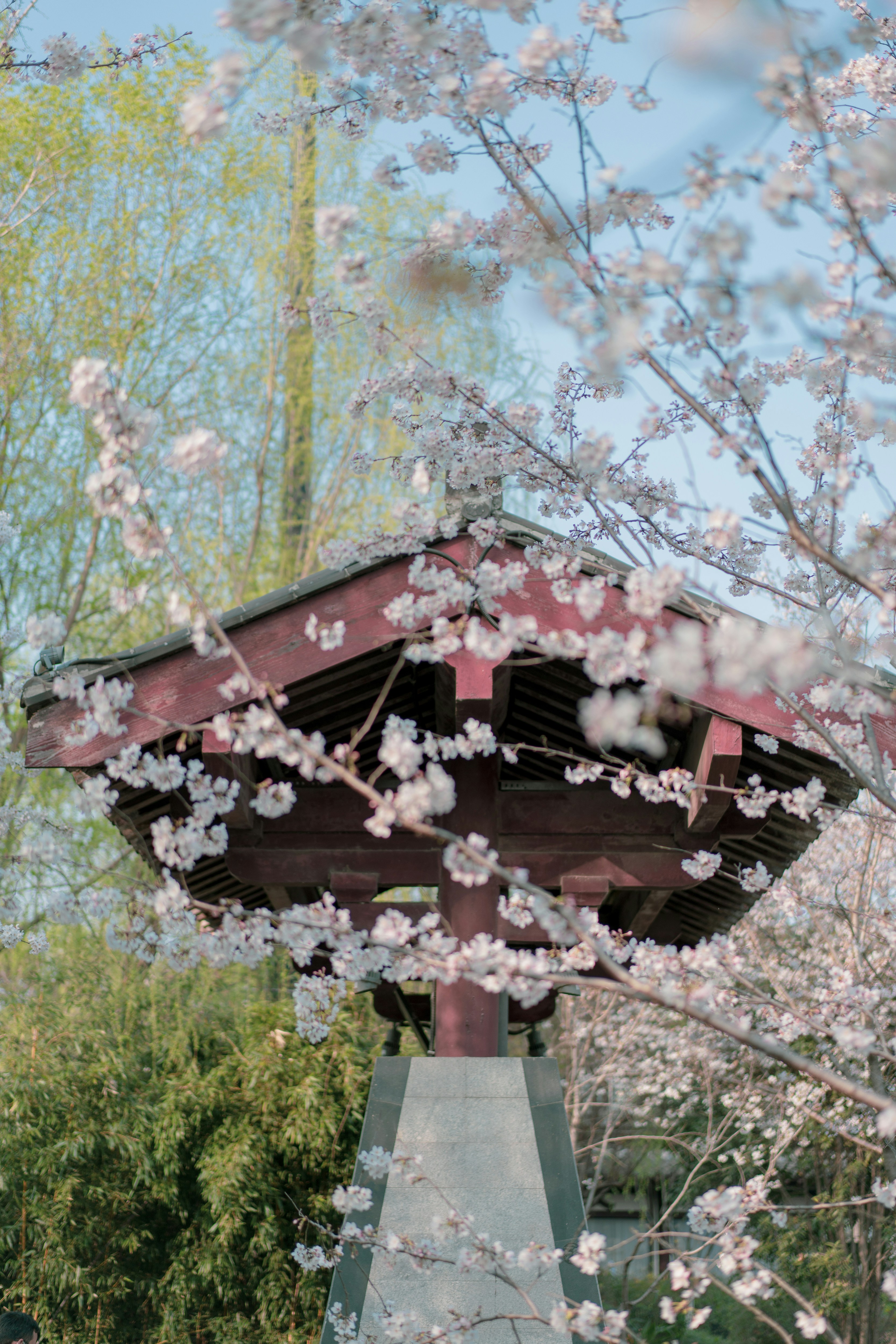 Photo by radsupercell