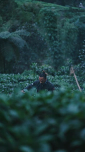 Technicians maintaining a biomass energy plant surrounded by lush vegetation.